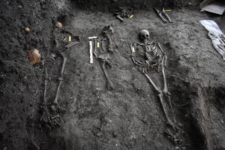 Medieval bone study identifies microbial communities driving archaeological bone degradation and preservation