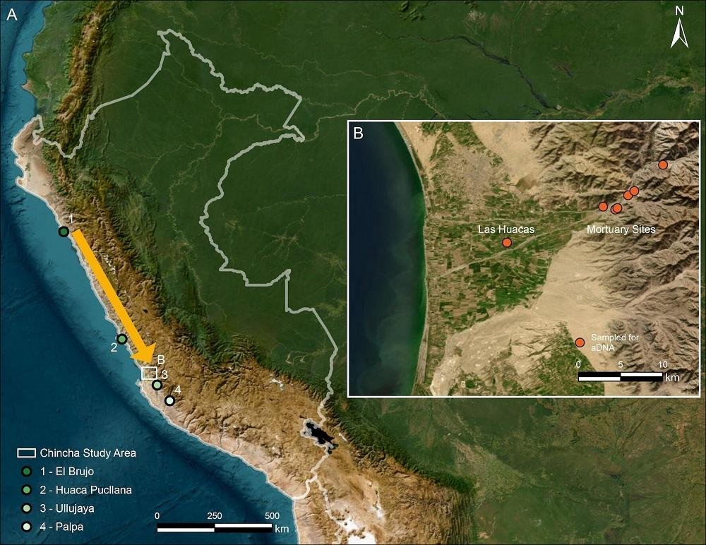 Ancient DNA reveals 700-kilometer migration along Peru’s coast before the Inca Empire