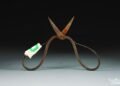 Ming Dynasty surgical tools reveal traces of toxic herbal anesthetic used 600 years ago