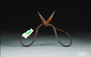 Ming Dynasty surgical tools reveal traces of toxic herbal anesthetic used 600 years ago