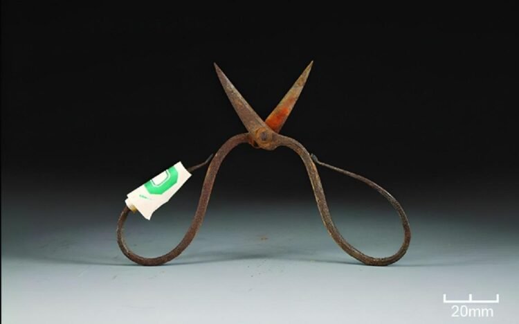Ming Dynasty surgical tools reveal traces of toxic herbal anesthetic used 600 years ago