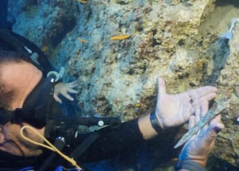 3,600-year-old Minoan bronze dagger unearthed from ancient shipwreck off the coast of Antalya