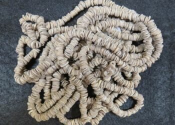 New study suggests money originated to facilitate long-distance trade between strangers