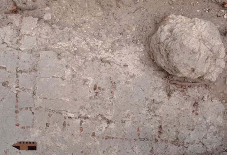 Archaeologists uncover unique mosaic Patolli board in Guatemala, redefining ancient Maya gaming traditions