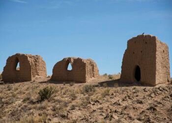 700-year-old mummy from Bolivia reveals scarlet fever bacterium present in the Americas before European contact