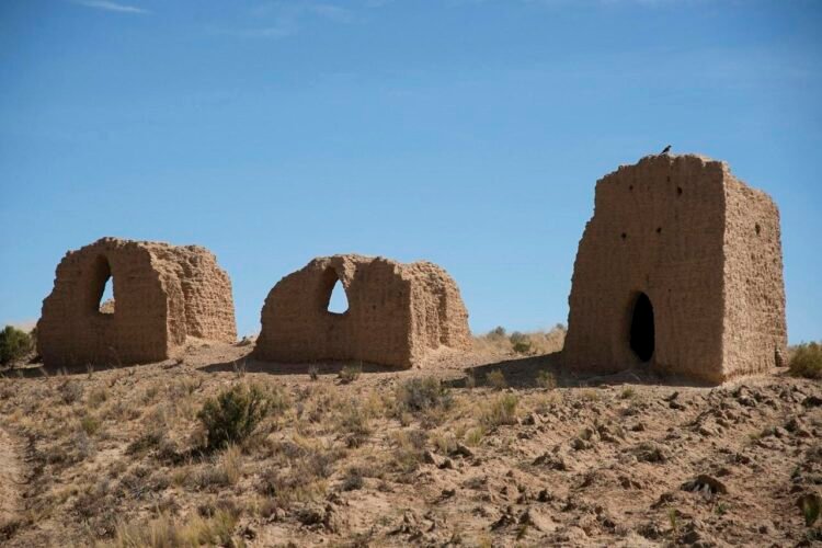 700-year-old mummy from Bolivia reveals scarlet fever bacterium present in the Americas before European contact