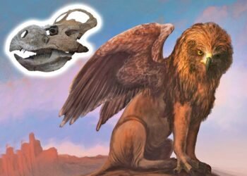 Scientists debunk 30-year myth linking griffin legends to dinosaur fossils