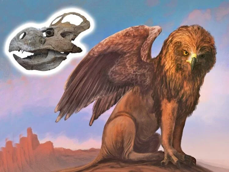 Scientists debunk 30-year myth linking griffin legends to dinosaur fossils