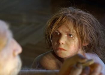 Neanderthal infants grew twice as fast as modern humans, study finds