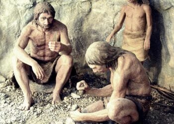 Neanderthal remains discovered in Arbreda cave, Spain