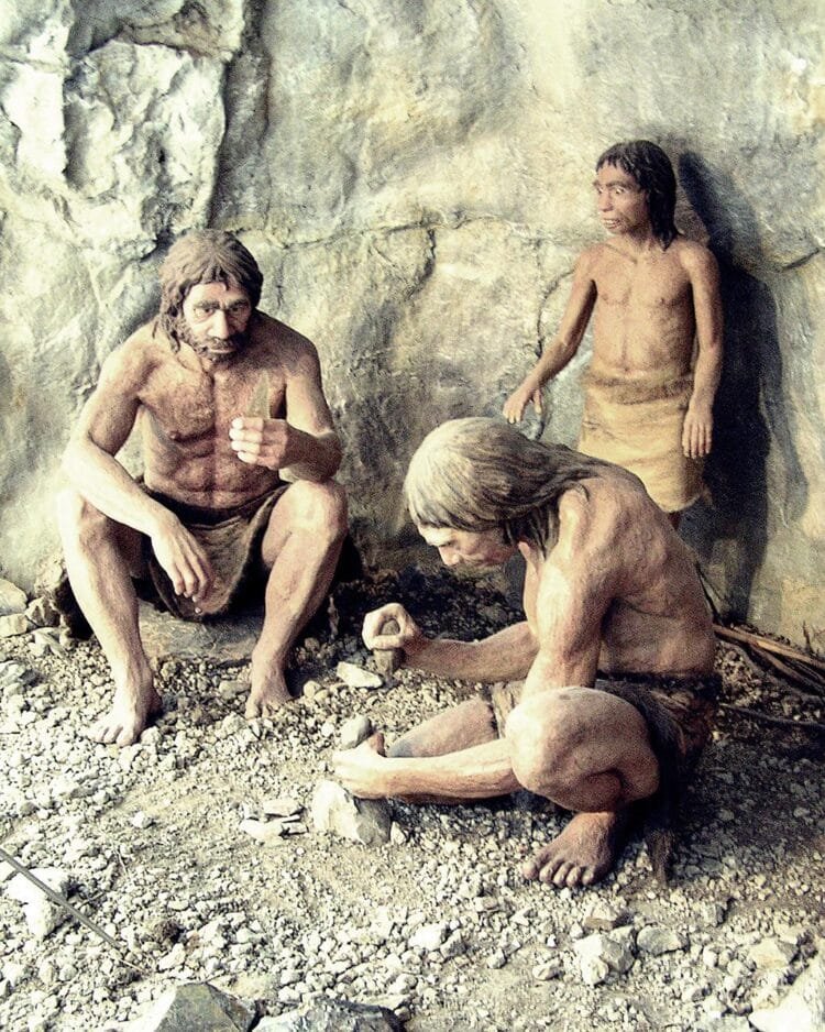 Neanderthal remains discovered in Arbreda cave, Spain