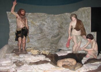 Neanderthals and early Homo sapiens had different burial practices, study suggests