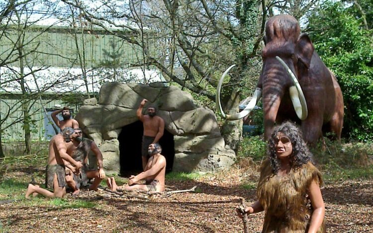Neanderthals ate maggots and fermented meat, not just fresh meat, challenging hypercarnivore theory