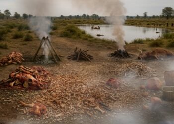 Neanderthals operated prehistoric “fat factory” 125,000 years ago on German lakeshore, study finds
