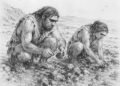 Neanderthals gathered shellfish like modern humans 115,000 years ago, study finds