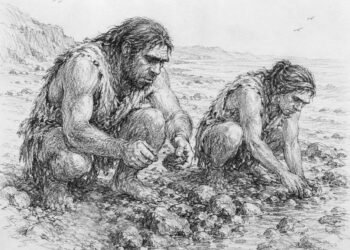 Neanderthals gathered shellfish like modern humans 115,000 years ago, study finds