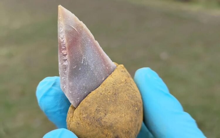 Neanderthals likely used glue to make tools 40,000 years ago