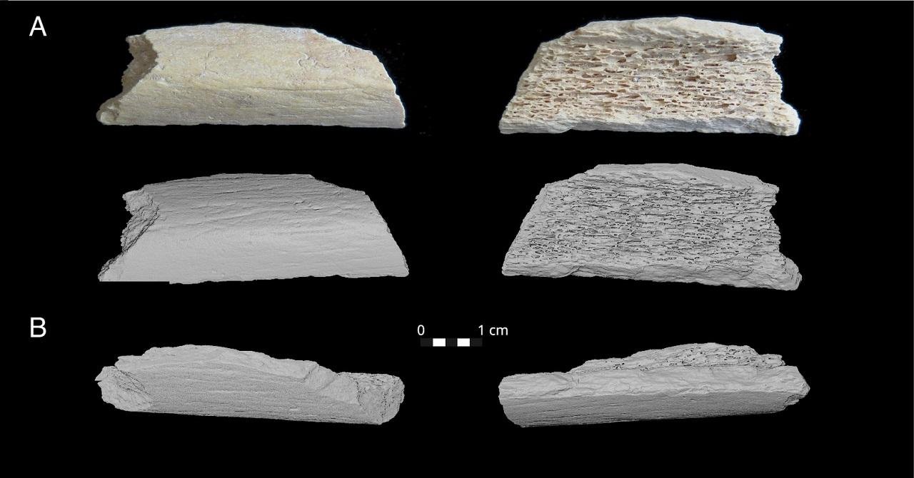 DNA from Crimea reveals Neanderthals migrated thousands of kilometers into Asia