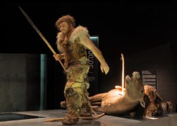 Neanderthals and early humans reshaped Europe’s landscapes long before the rise of farming, study finds