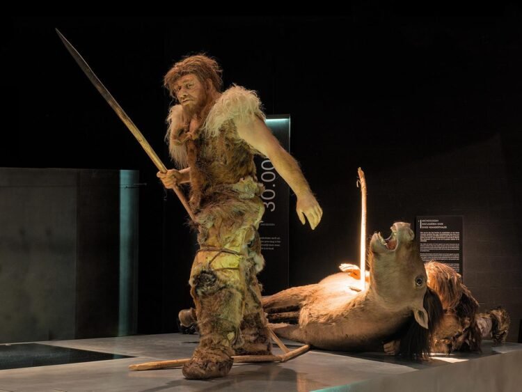 Neanderthals and early humans reshaped Europe’s landscapes long before the rise of farming, study finds