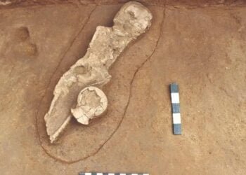 Archaeologists unearth neolithic child burial site in Tamil Nadu, India