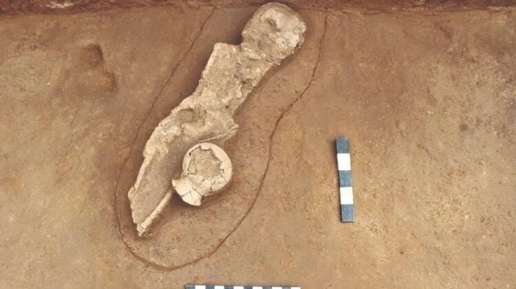 Archaeologists unearth neolithic child burial site in Tamil Nadu, India