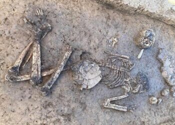 6,800-year-old burial of Neolithic mayor uncovered in Germany