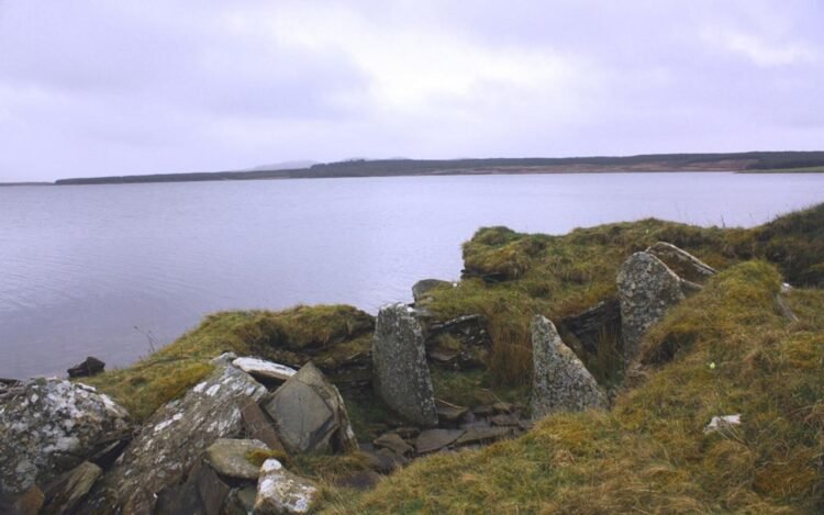 Ancient DNA reveals male lineage and family ties in Neolithic Scotland tombs