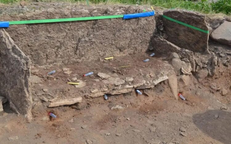 One of oldest stone tombs in Sweden is intact from Neolithic times, but skulls are missing