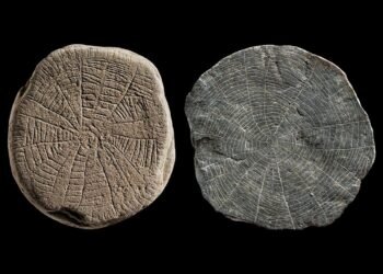 Neolithic 'sun stones' sacrificed in Denmark to revive the sun after volcanic eruption