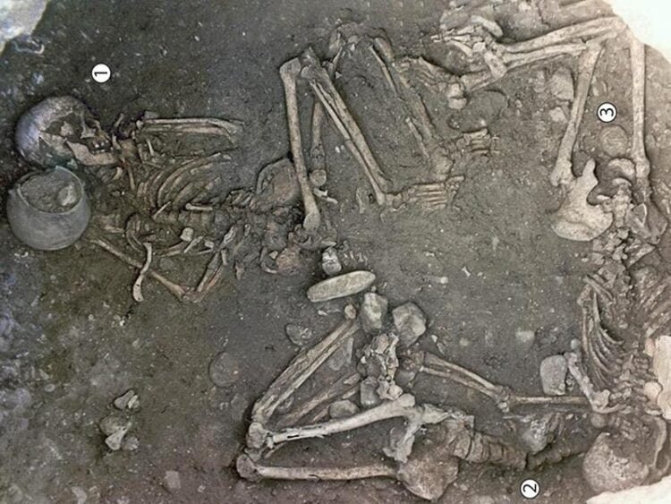 Study Suggests Neolithic women in Europe were tied up and buried alive in ritual sacrifices
