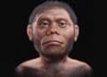 Homo juluensis: Scientists discovered a new species of archaic human