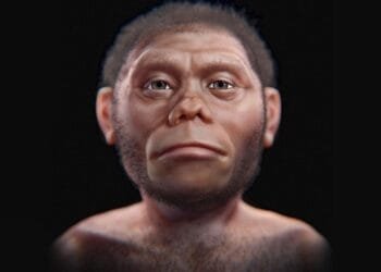 Homo juluensis: Scientists discovered a new species of archaic human