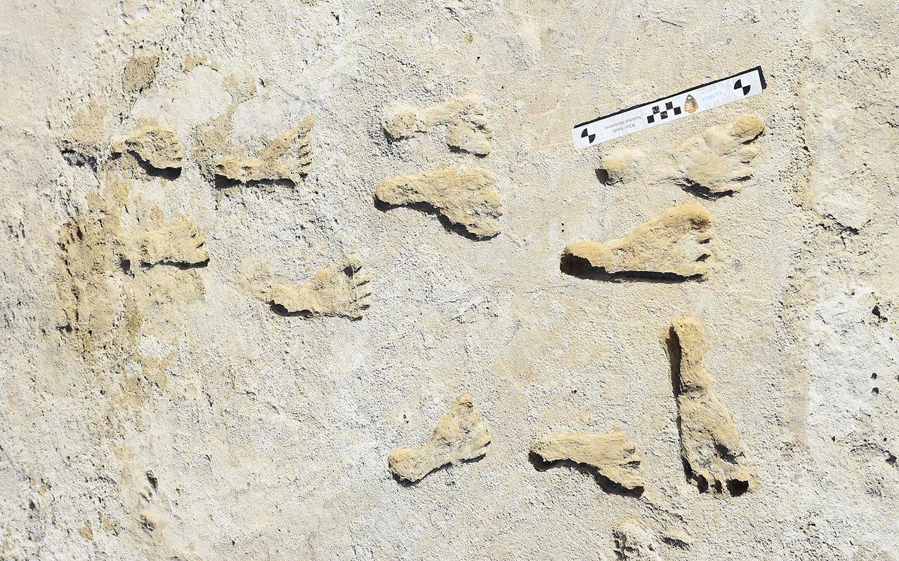 New study confirms ancient human footprints in New Mexico date back 23,000 years