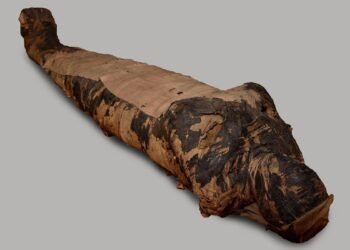 New study debunks claims of pregnancy and cancer in ‘Mysterious Lady’ mummy