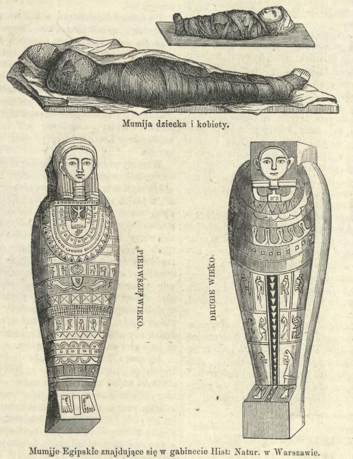 New study debunks claims of pregnancy and cancer in ‘Mysterious Lady’ mummy