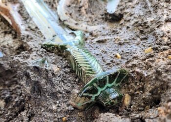 3,400-year-old Nördlingen bronze sword reveals advanced metalworking techniques