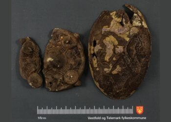 Norwegian family finds Viking treasure in their garden