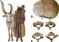 Bronze Age Nubian women carried heavy loads on their heads, study reveals