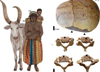 Bronze Age Nubian women carried heavy loads on their heads, study reveals