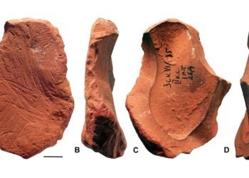 42,000-year-old ochre crayons reveal Neanderthals engaged in symbolic behavior