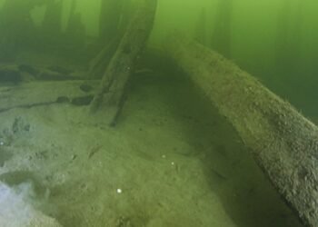 Oldest carvel-built ship in Nordic region discovered in Sweden