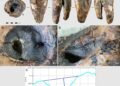 Oldest known dental treatment found in 59,000-year-old Neanderthal tooth from Siberia