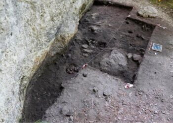 Oldest evidence of assisted birth found in 6,000-year-old newborn bones