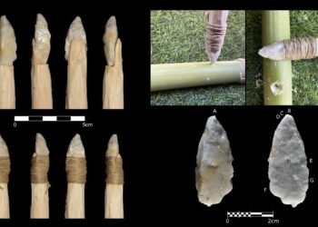 Oldest hafted stone tools in East Asia found in China, dating back 160,000 years