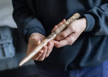 Oldest whale bone tools discovered in Europe reveal Stone Age humans used marine resources 20,000 years ago