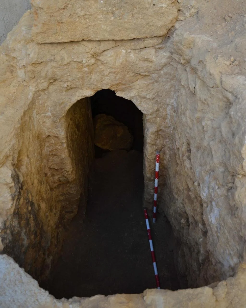 Oldest liquid wine in the world discovered in Roman tomb in Spain