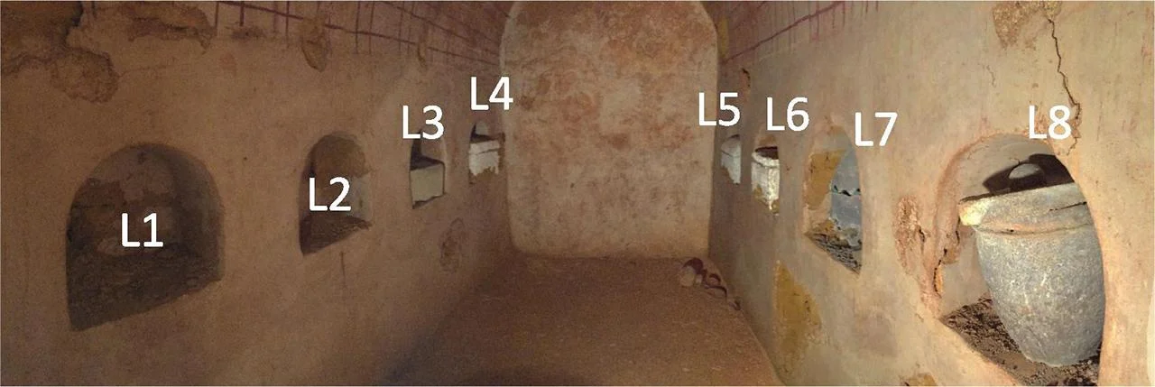 Oldest liquid wine in the world discovered in Roman tomb in Spain