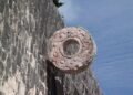 Ancient Olmec rubber balls to be preserved with anoxia technology
