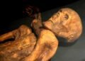 Rewriting the story of Ötzi, the Alps ice man